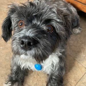 Meet your Posher, Tammy